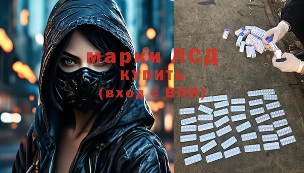 прущие грибы Липки